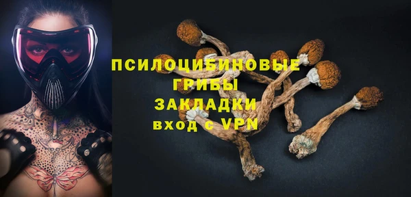 гидра Арсеньев