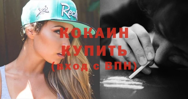 гидра Арсеньев
