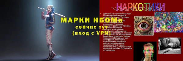 гидра Арсеньев