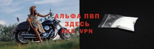 гидра Арсеньев