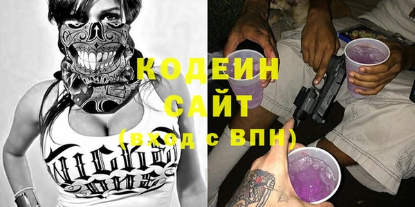 гидра Арсеньев