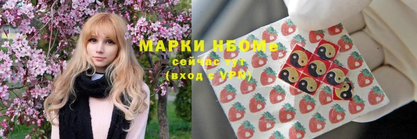 гидра Арсеньев