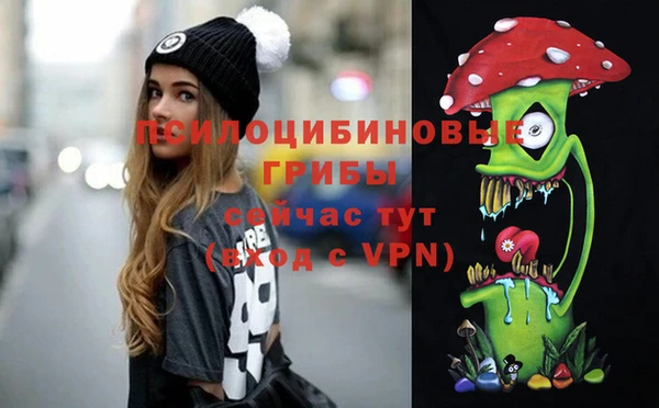 гидра Арсеньев