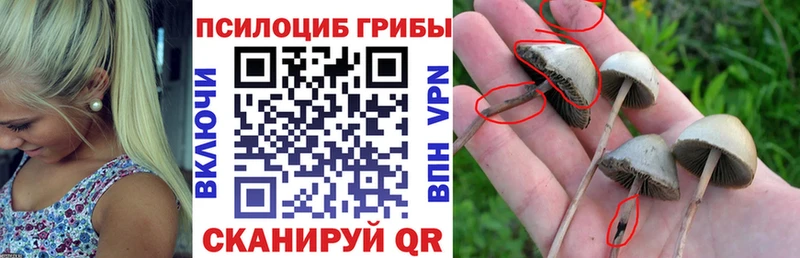 Галлюциногенные грибы прущие грибы  купить наркотики сайты  Среднеуральск 